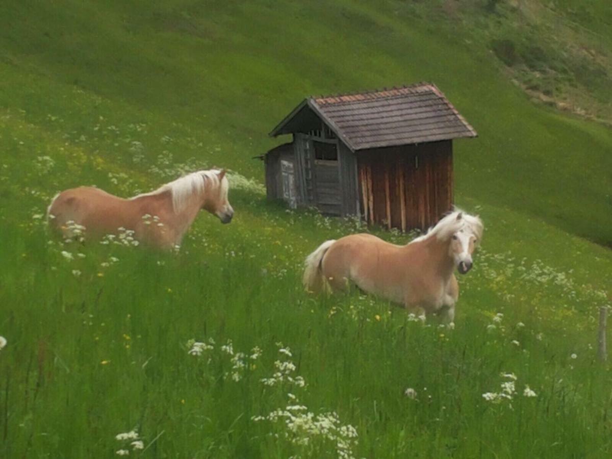 Apart.Pitztal Arzl im Pitztal Ngoại thất bức ảnh