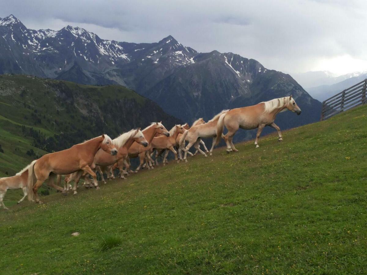 Apart.Pitztal Arzl im Pitztal Ngoại thất bức ảnh