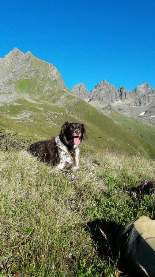 Apart.Pitztal Arzl im Pitztal Ngoại thất bức ảnh